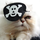 Illustration for article titled Dread Pirate Lilly